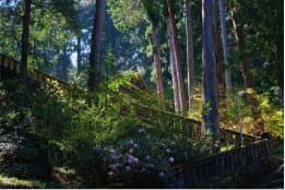 ドイツ風の街並み