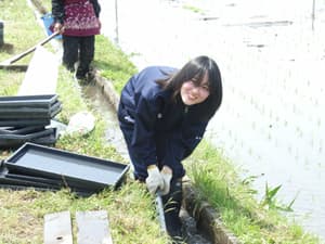 デビュー