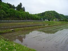 弊社 会長はロハス