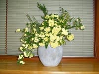 お花 いただきました。