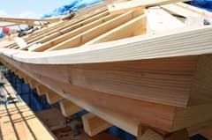 隅茅負（すみかやおい）続報