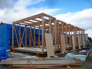 新年　おめでとうございます。