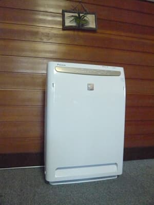 新型インフルエンザ北上中