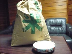 感謝祭に向けて