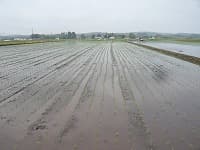 GW いかがでしたか？