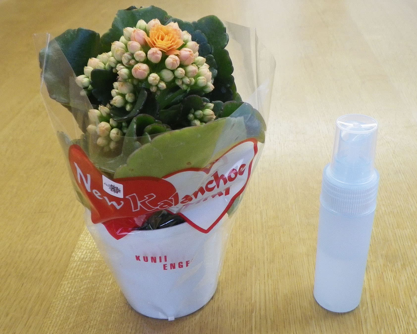 ショールームご案内