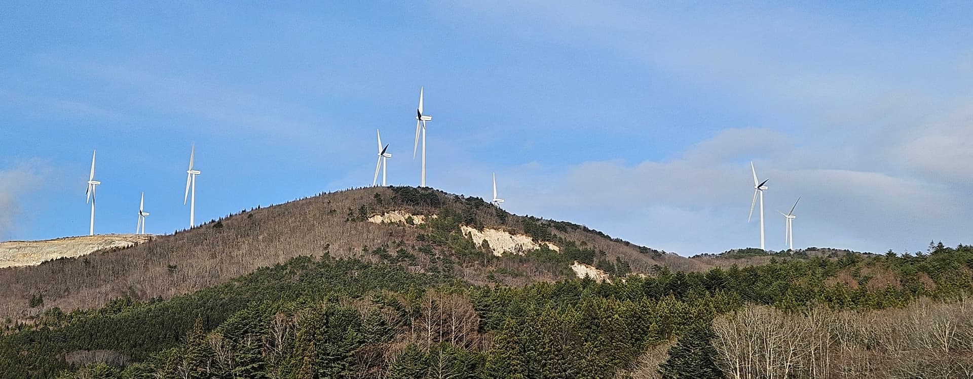 風力発電