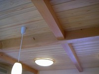 使用した天井イメージ