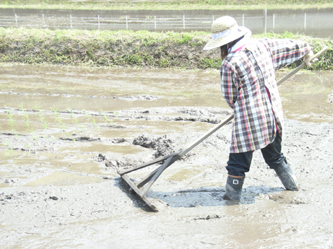 デ ・ ビ ・ ュ ・ ー　です