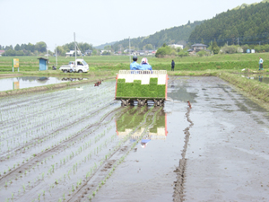 そして、もう一人　デ ・ ビ ・ ュ ・ ー　です。
