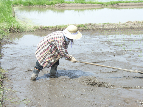 デ ・ ビ ・ ュ ・ ー　です2
