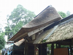 萱葺き屋根