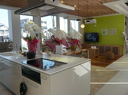 飾られていた胡蝶蘭