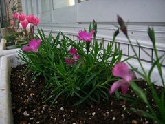 初めての共同作業