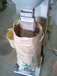 脱穀機から袋詰めの様子