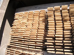 南部赤松の乾燥