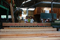 木材工場での一枚