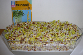 手のつけられない状態に